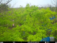 May 12 2025  6:34:21, #01