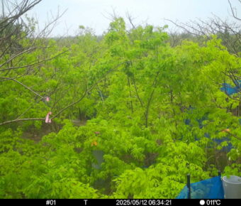 May 12 2025  6:34:21, #01