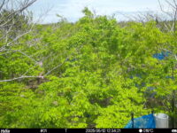May 12 2025 12:34:20, #01