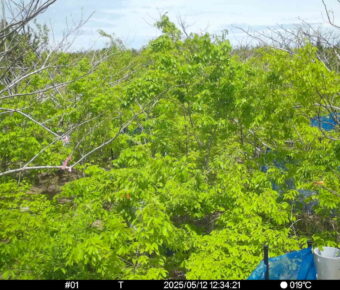 May 12 2025 12:34:20, #01