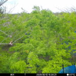 May 12 2025 15:34:21, #01