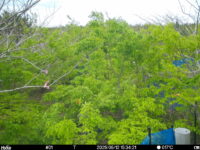 May 12 2025 15:34:21, #01