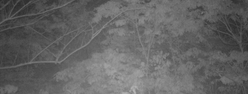May 12 2025 21:34:21, #01