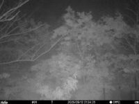 May 12 2025 21:34:21, #01
