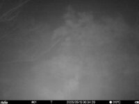 May 13 2025  0:34:19, #01