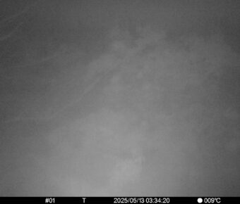 May 13 2025  3:34:20, #01