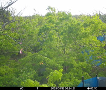 May 13 2025  6:34:20, #01