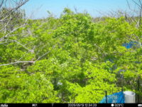 May 13 2025 12:34:20, #01