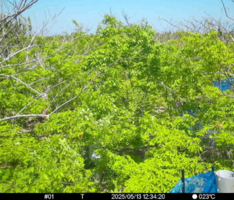 May 13 2025 12:34:20, #01