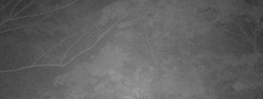 May 13 2025 21:34:21, #01