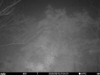 May 13 2025 21:34:21, #01