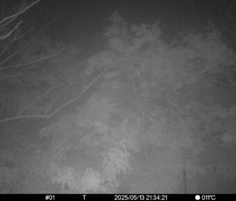 May 13 2025 21:34:21, #01