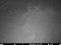 May 14 2025  3:34:20, #01