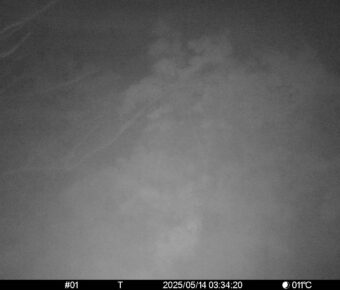 May 14 2025  3:34:20, #01