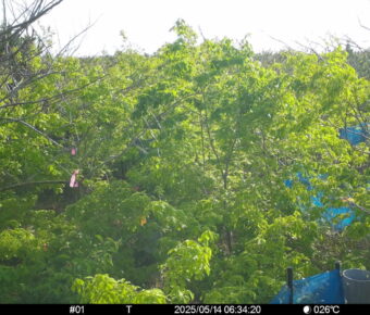 May 14 2025  6:34:20, #01