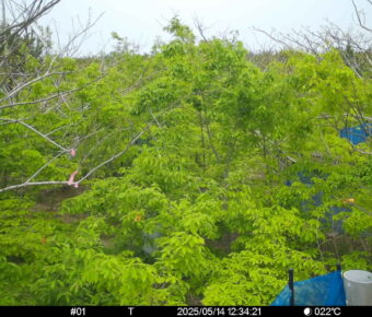 May 14 2025 12:34:21, #01
