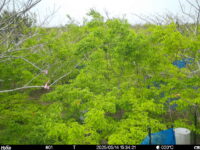 May 14 2025 15:34:20, #01