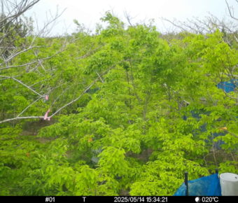 May 14 2025 15:34:20, #01