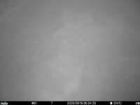 May 15 2025  0:34:20, #01