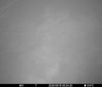 May 15 2025  0:34:20, #01