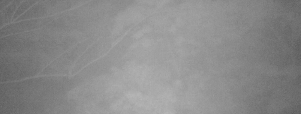 May 15 2025  3:34:19, #01