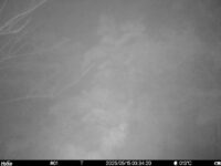 May 15 2025  3:34:19, #01