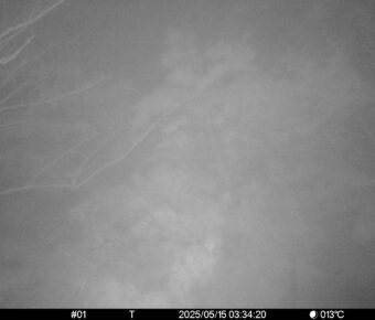 May 15 2025  3:34:19, #01