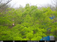 May 15 2025  6:34:20, #01
