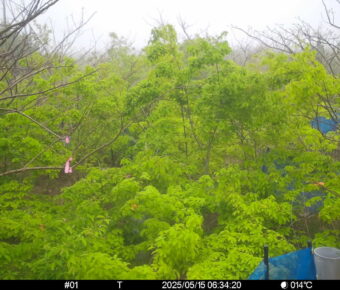 May 15 2025  6:34:20, #01