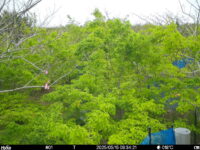 May 15 2025  9:34:21, #01