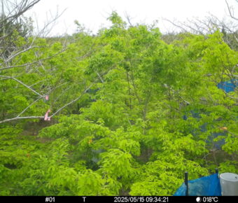 May 15 2025  9:34:21, #01