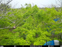 May 15 2025 12:34:21, #01