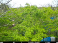 May 15 2025 15:34:20, #01