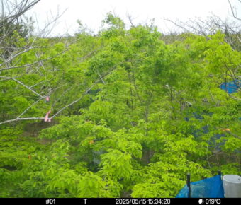 May 15 2025 15:34:20, #01