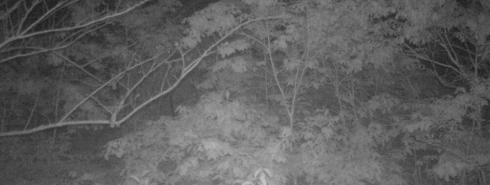 May 15 2025 21:34:21, #01