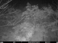 May 15 2025 21:34:21, #01