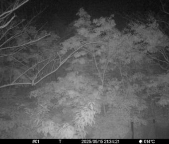 May 15 2025 21:34:21, #01