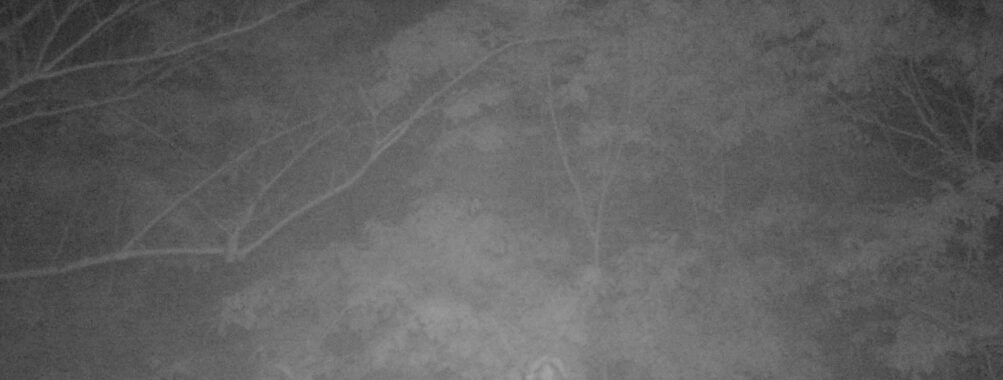May 16 2025  0:34:20, #01