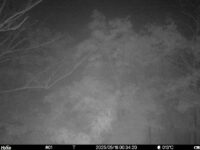 May 16 2025  0:34:20, #01