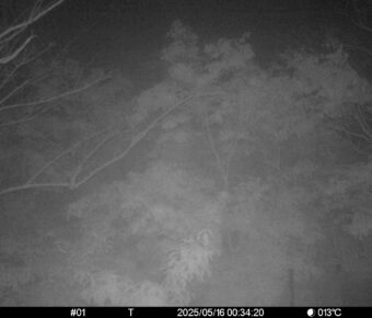 May 16 2025  0:34:20, #01