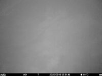 May 16 2025  3:34:19, #01
