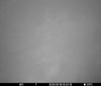May 16 2025  3:34:19, #01