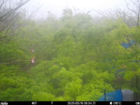 May 16 2025  6:34:21, #01