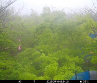 May 16 2025  6:34:21, #01