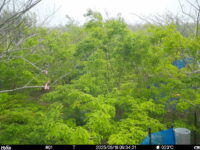 May 16 2025  9:34:20, #01