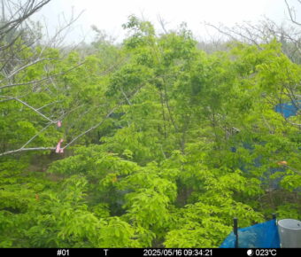 May 16 2025  9:34:20, #01