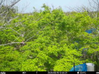 May 16 2025 12:34:20, #01
