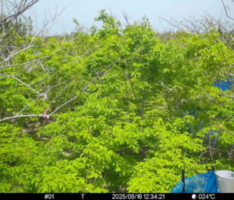 May 16 2025 12:34:20, #01