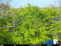 May 16 2025 15:34:21, #01