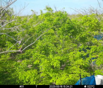 May 16 2025 15:34:21, #01